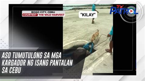 kayatan tv|Pumayag Kantutin ng Dalawang Kargador sa Damuhan Basta .